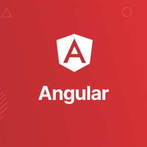 Angular - the complete guide for beginner