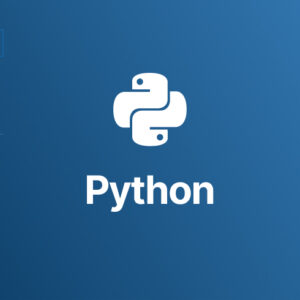 The Python Course: build web application