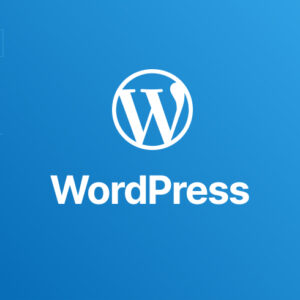 Wordpress: complete WordPress theme & plugin development